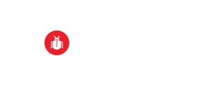 OSV.dev