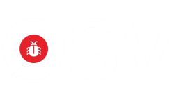 OSV.dev