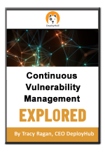 continuous vulnerability management explored